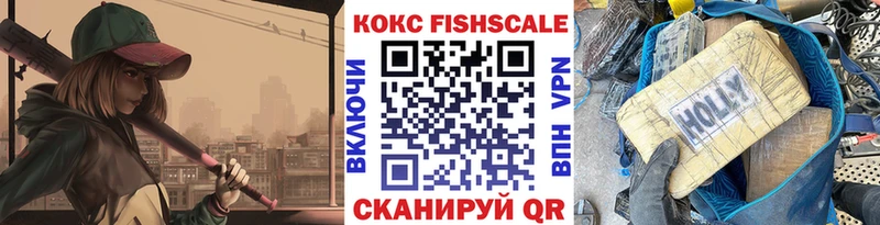 mega как зайти  Орехово-Зуево  Cocaine FishScale 