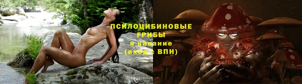 скорость Бородино