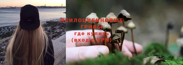 дживик Бугульма