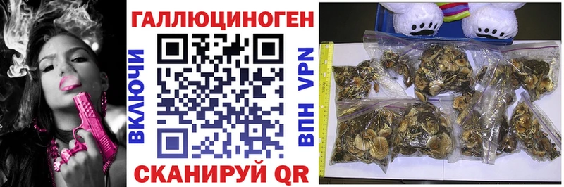 Псилоцибиновые грибы прущие грибы  гидра зеркало  Орехово-Зуево 